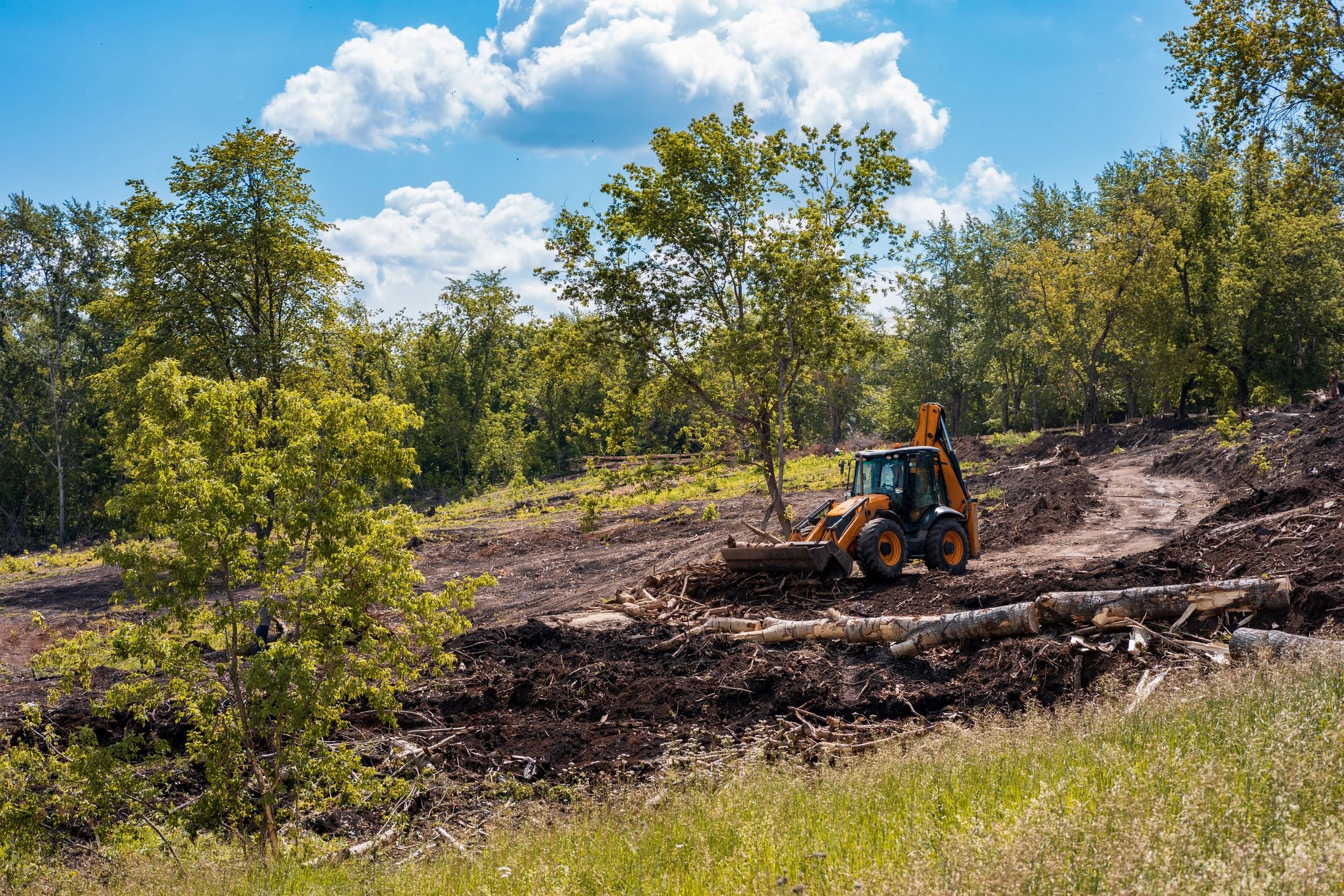 Excavator clearing brush and stumps for site preparation