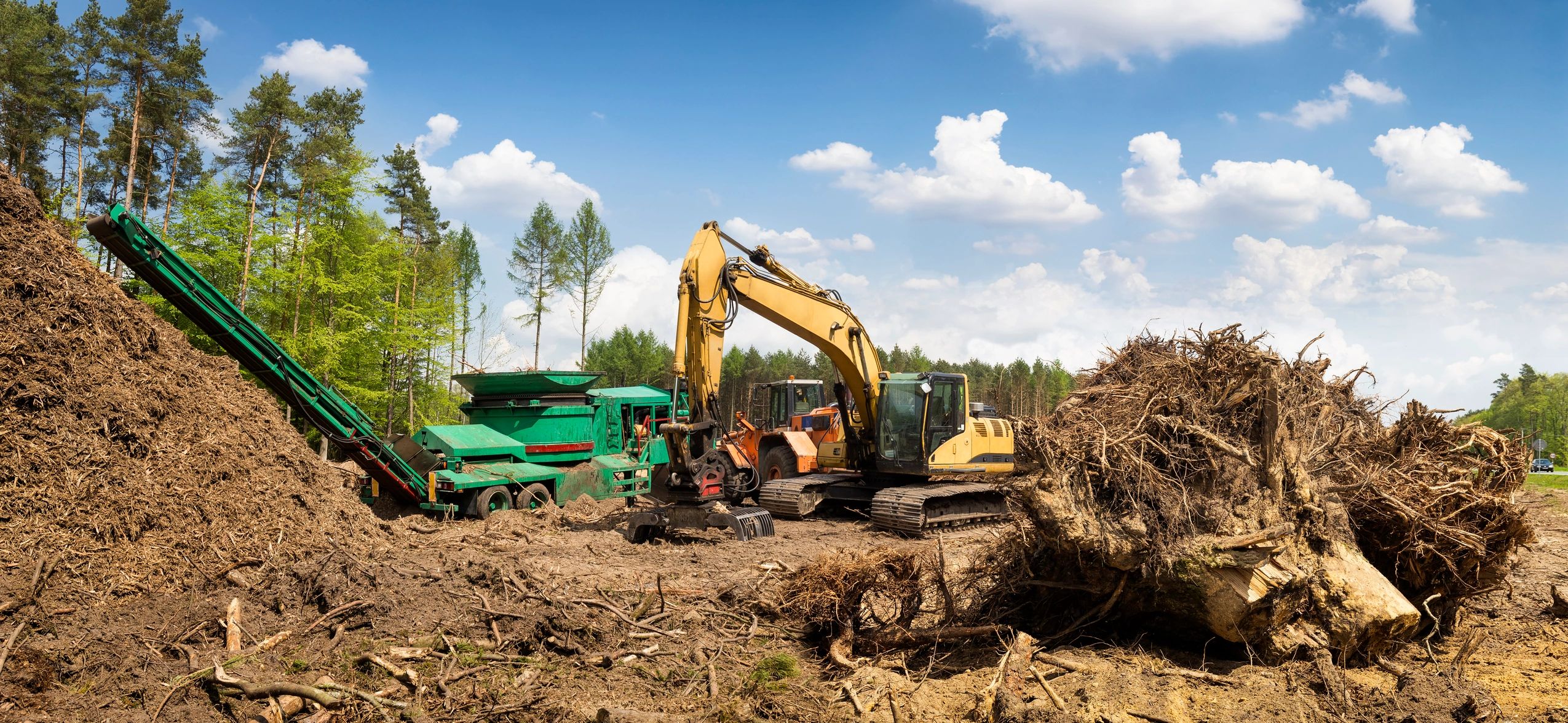 forestry mulching equipment clearing land