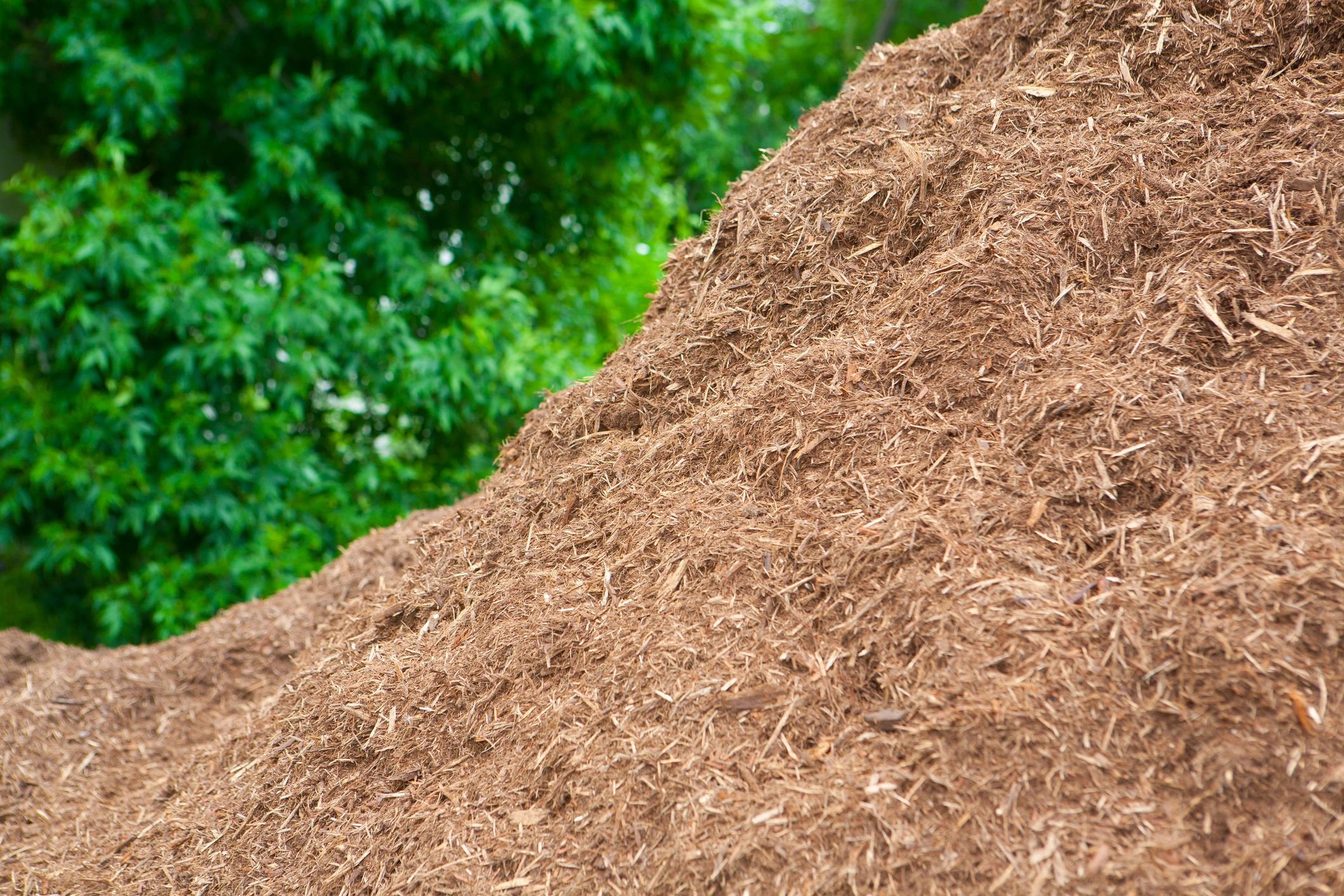 eco-friendly land clearing with minimal disturbance
